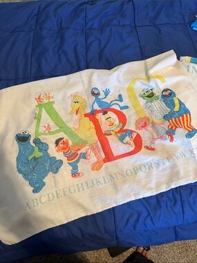 Vintage Sesame Street pillow case and flat twin size sheet